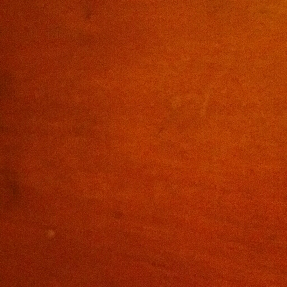 Meet your Posher, Janie